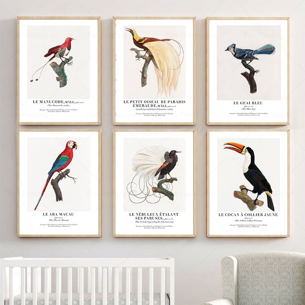Vintage Paradise Bird Wall Art – Furniture Paradise & Hardware Ghaziabad Reviews recenzja i cena