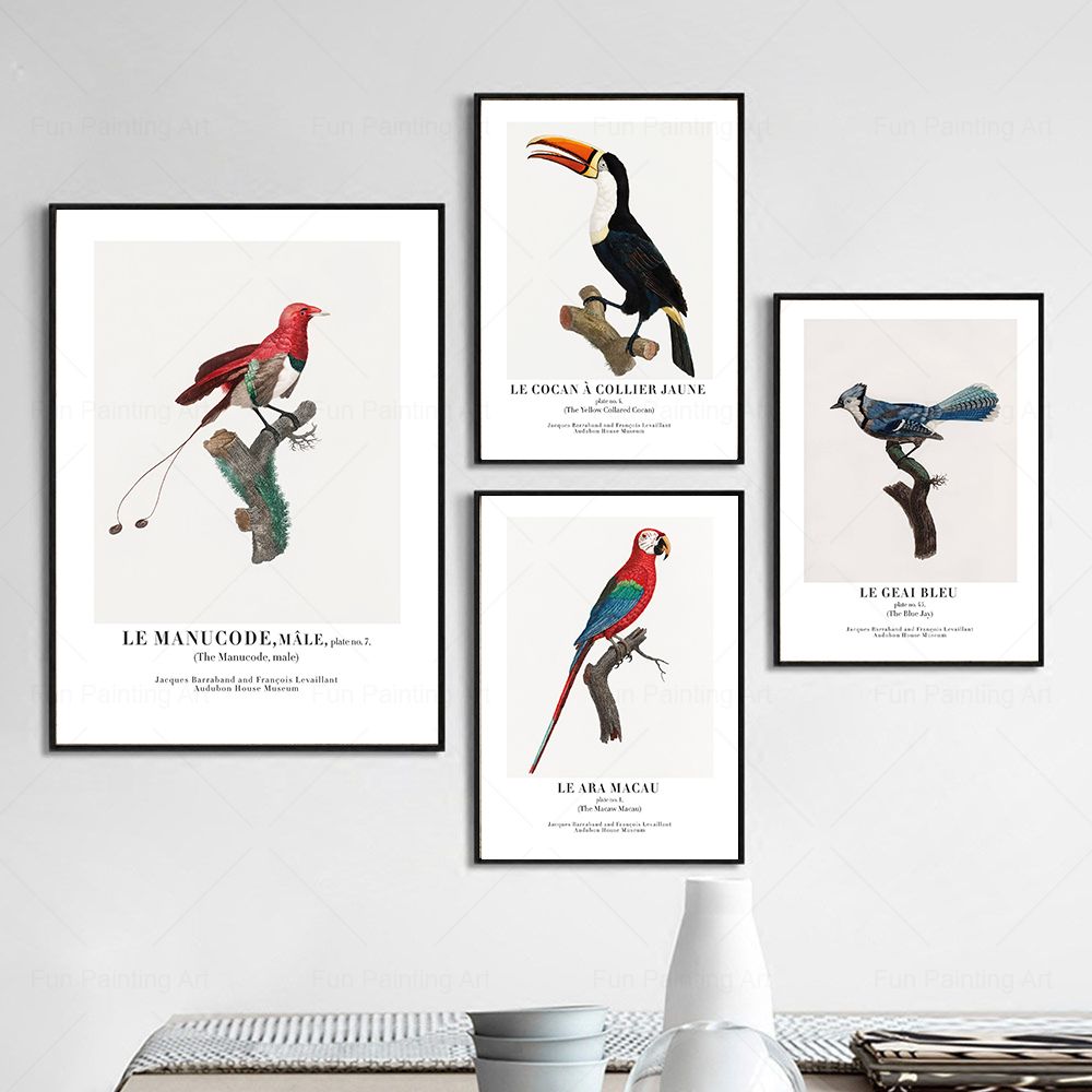 Vintage Paradise Bird Wall Art – Furniture Paradise & Hardware Ghaziabad Reviews recenzja i cena