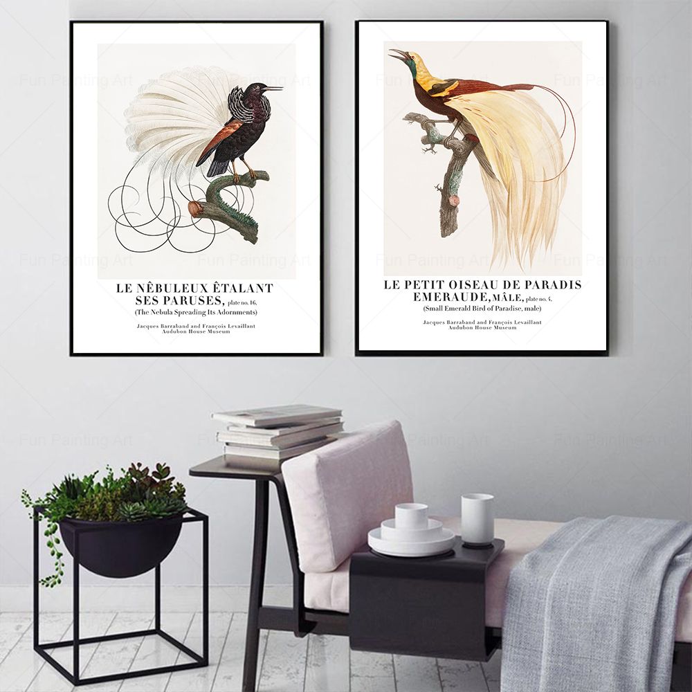Vintage Paradise Bird Wall Art – Furniture Paradise & Hardware Ghaziabad Reviews recenzja i cena