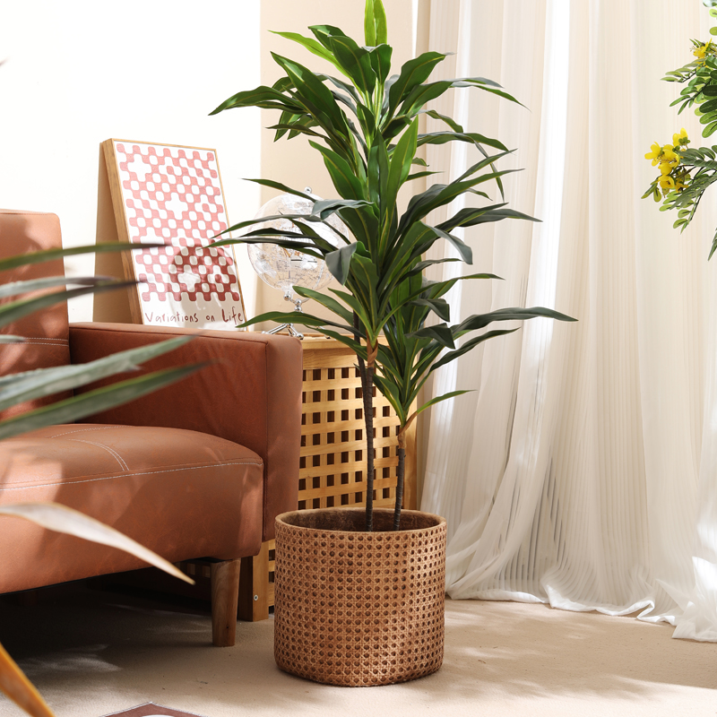 Meble do małych mieszkań, doni – Furniture Paradise & Hardware Ghaziabad Reviews recenzja i cena